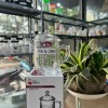 CỐC TRÀ NẮP TEA 205