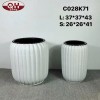 BỘ 2 CÁI CHẬU TRỒNG CÂY C028