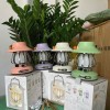 ĐÈN BÃO LAMP MẪU MỚI