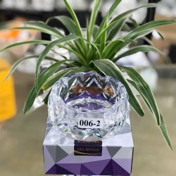 GẠT TÀN THỦY TINH DSSYG006-2