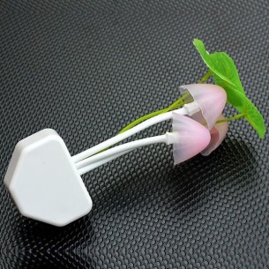 ĐÈN NGỦ CẢM BIẾN CÂY NẤM