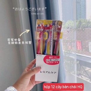HỘP 12 CÂY BÀN CHẢI NHẬT