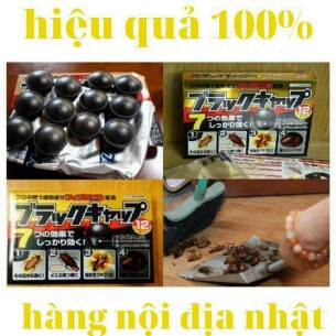 THUỐC DIỆT GIÁN NHẬT