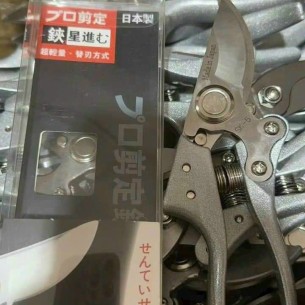 KÉO TỈA CÀNH HÀNG NHẬP
