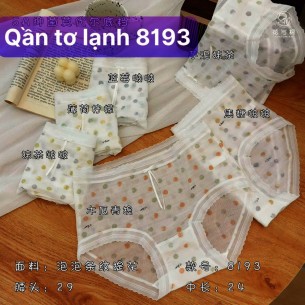 SET 5C QUẦN LÓT TƠ LẠNH 8193