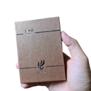 ZIPPO PLASMA 1 TIA SANG TRỌNG