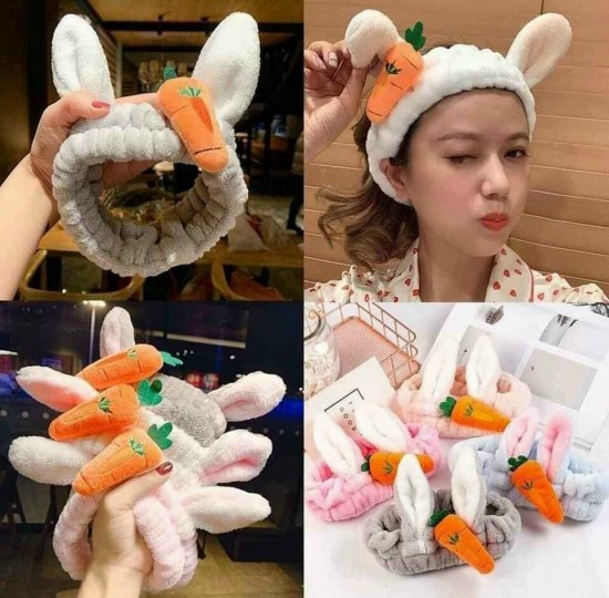 BĂNG ĐÔ CÀ RỐT