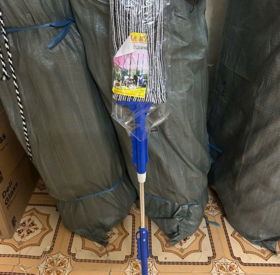 cây lau nhà sinh viên