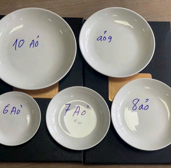 set 10 dĩa ảo trơn 8inch (20.32cm)