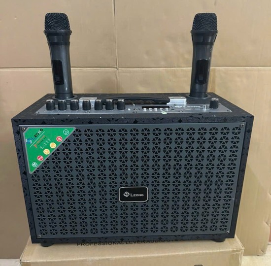 LOA XÁCH TAY L111 