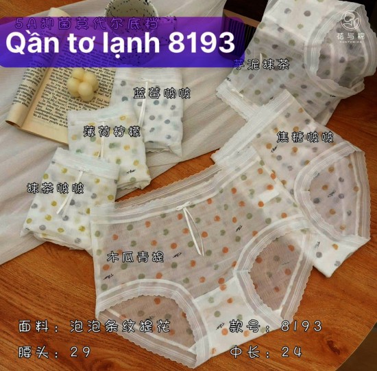 SET 5C QUẦN LÓT TƠ LẠNH 8193