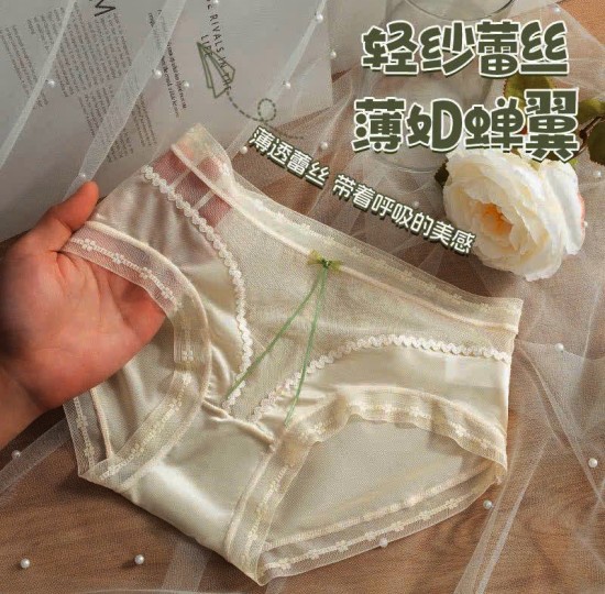 SET 5C QUẦN LÓT ZEN LỤA 2309