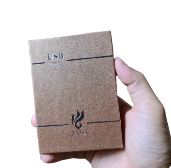 ZIPPO PLASMA 1 TIA SANG TRỌNG